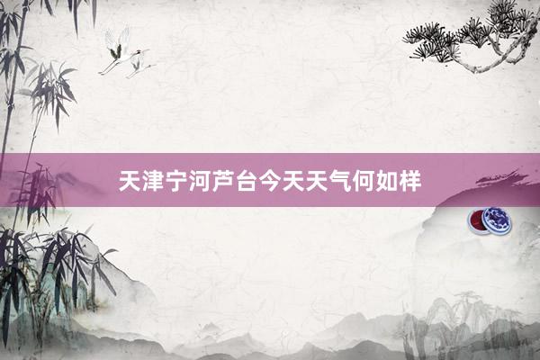 天津宁河芦台今天天气何如样